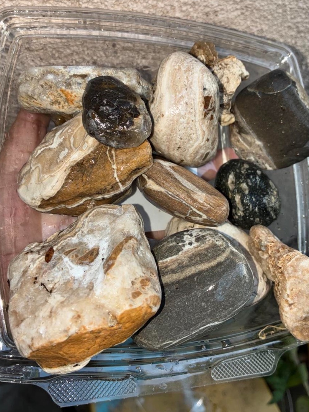 Naturally Sea Tumbled Stones Many W/ Marbled Patterns, Or Crystal Patches